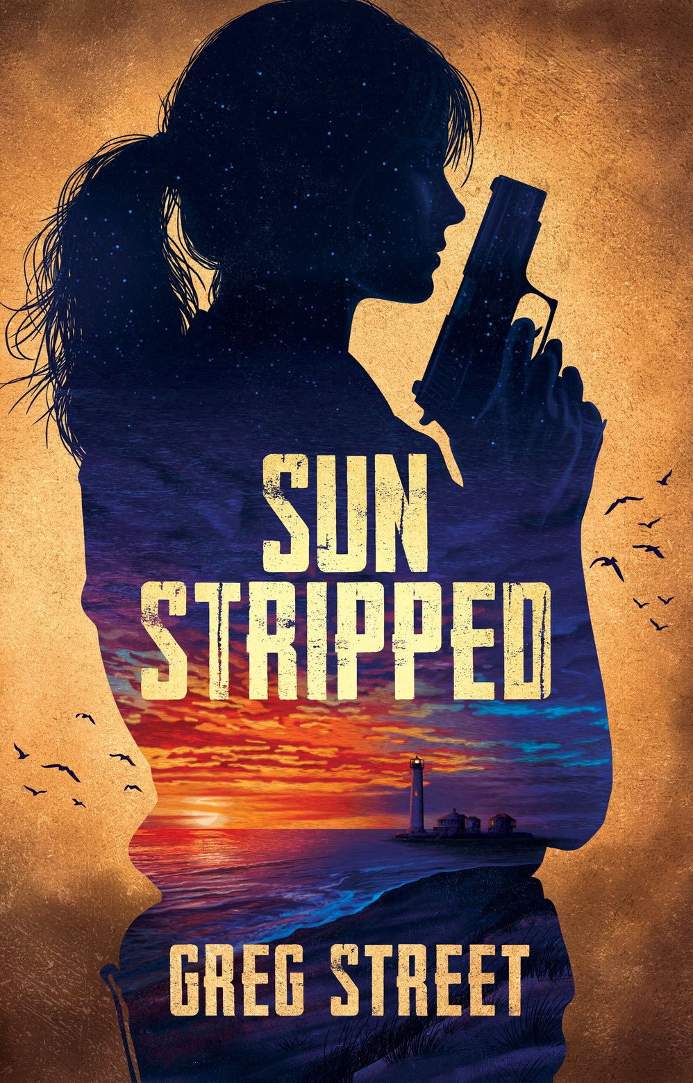 Cover of Sun Stripped by Greg Street